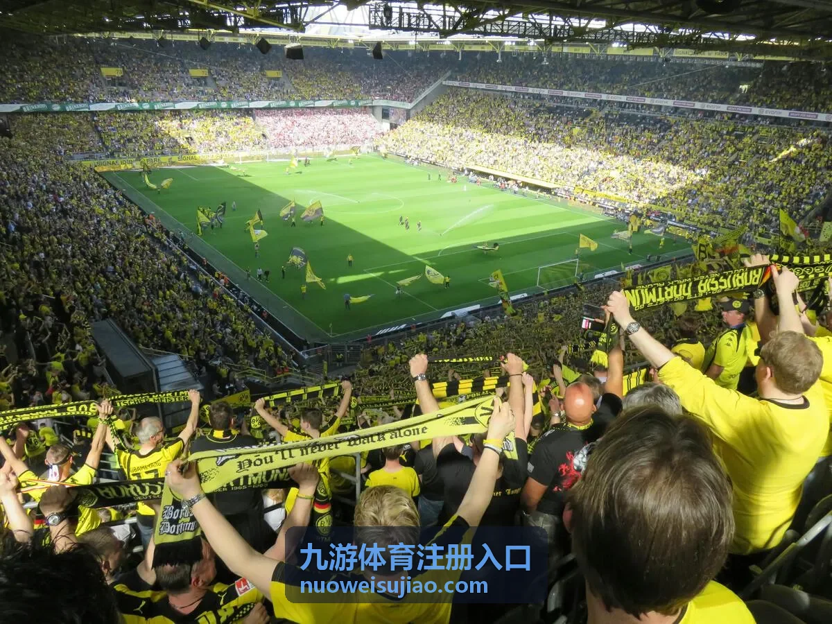 九游体育平台界面演示
