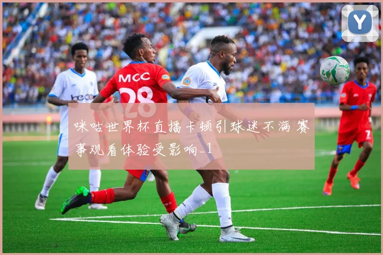 咪咕世界杯直播卡顿引球迷不满 赛事观看体验受影响_1