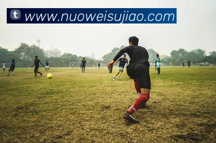 多媒体互动体验